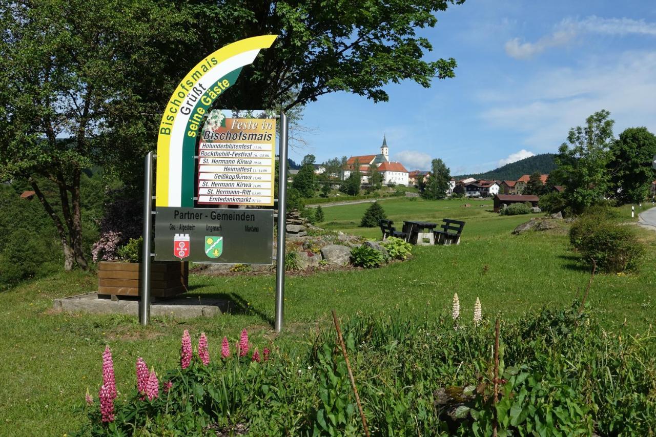 Am Hermannsbachl Bischofsmais Exterior photo